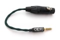 OIDIO Pellucid Adapter Cable