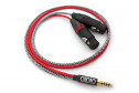 OIDIO Pellucid-PLUS Balanced Interconnect Cable for 4.4mm TRRRS to dual 3-pin XLR