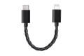 FiiO LT-LT2 Type C to Lightning USB OTG Adapter Cable - for FiiO Devices